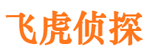 宜章市婚外情调查